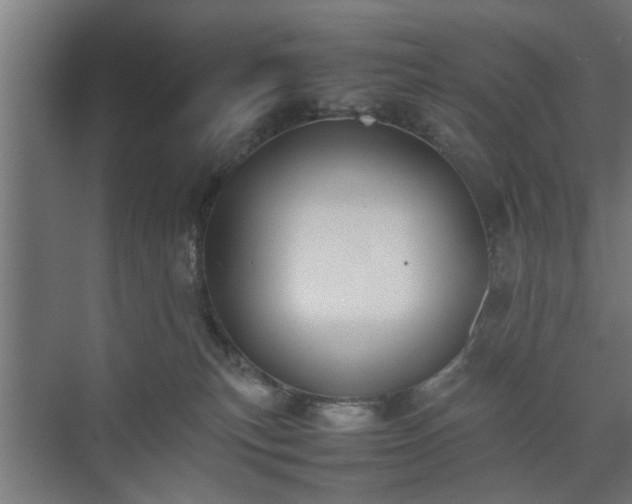 X0000074970183200609081421