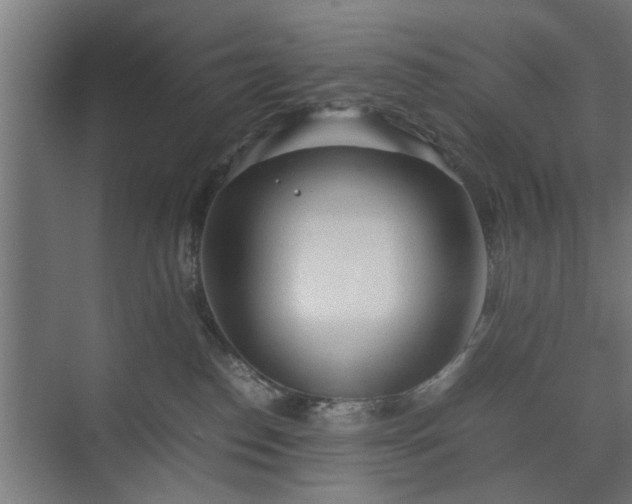 X0000074970186200609081421