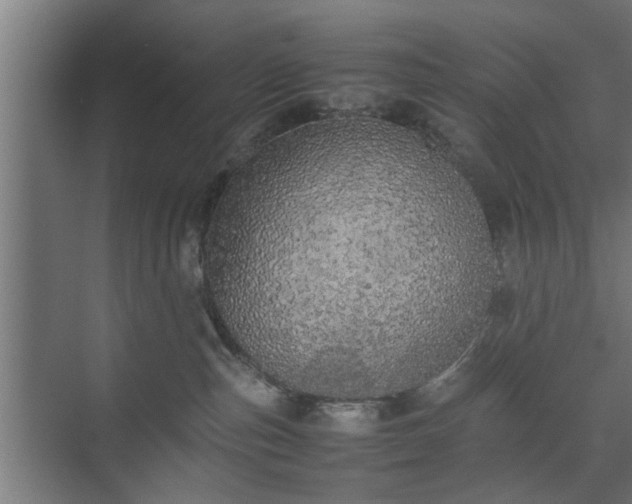 X0000074970187200609081421