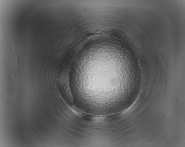 X0000074970192200609081421