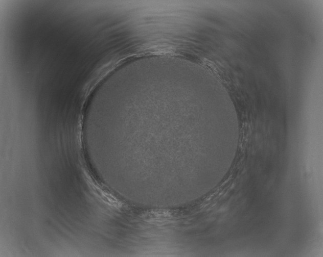 X0000074970194200609081420