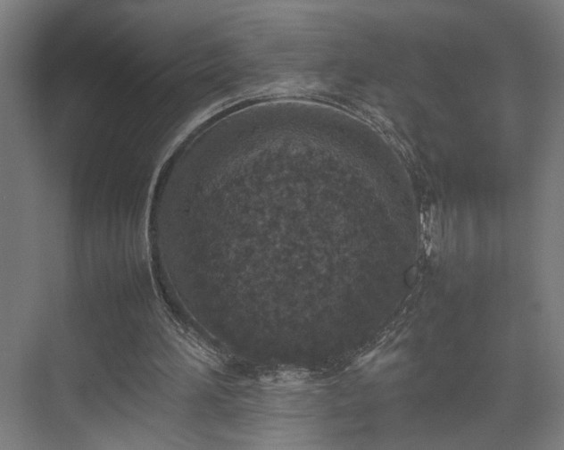 X0000074970196200609081420