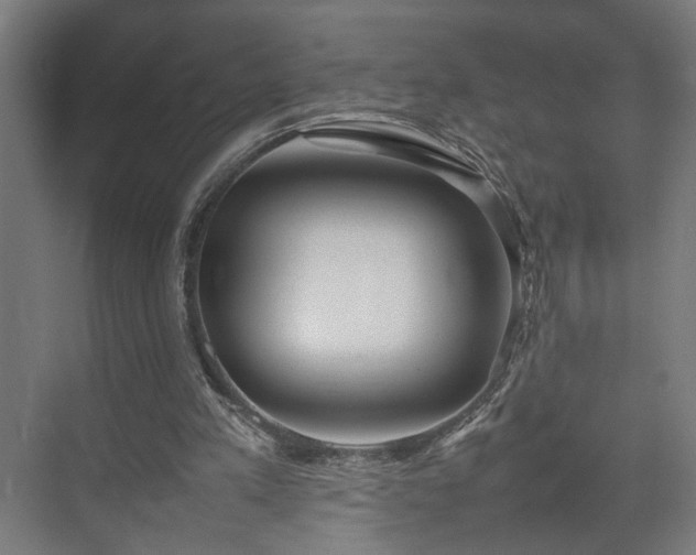 X0000074970197200609081420