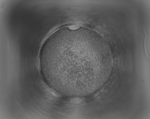 X0000074970198200609081420