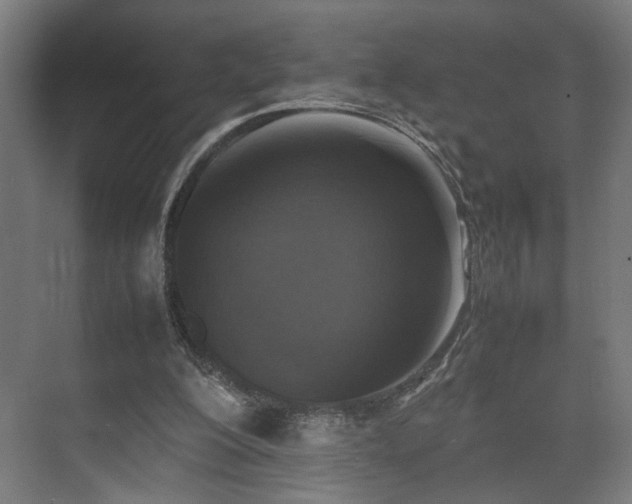 X0000074970200200609081420