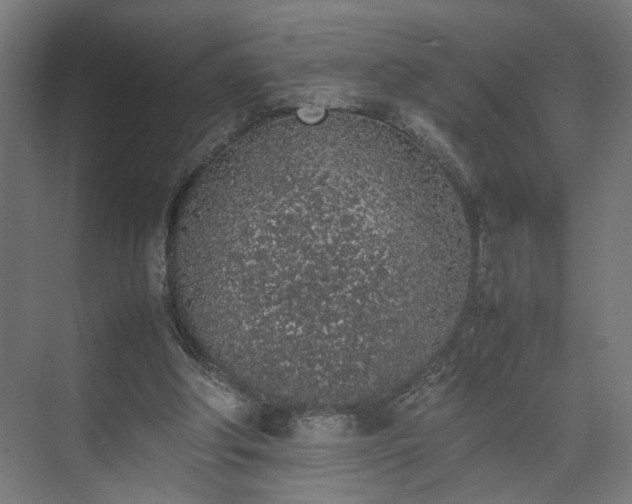 X0000074970202200609081420