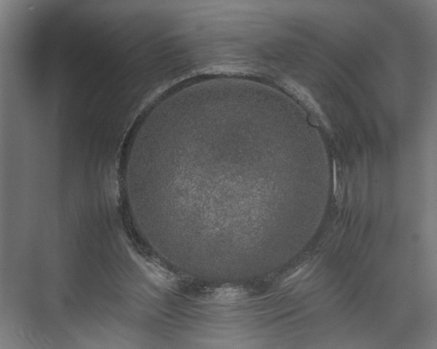 X0000074970204200609081420