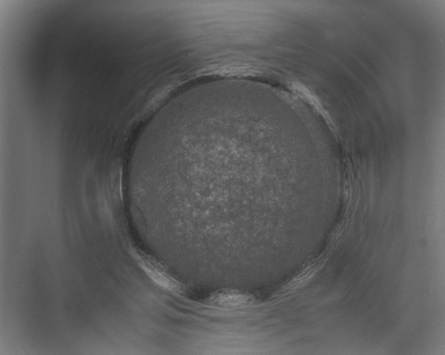 X0000074970205200609081420