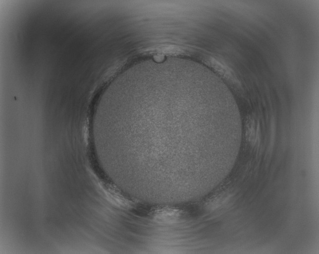 X0000074970206200609081420