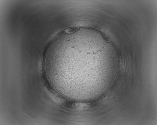 X0000074970208200609081420