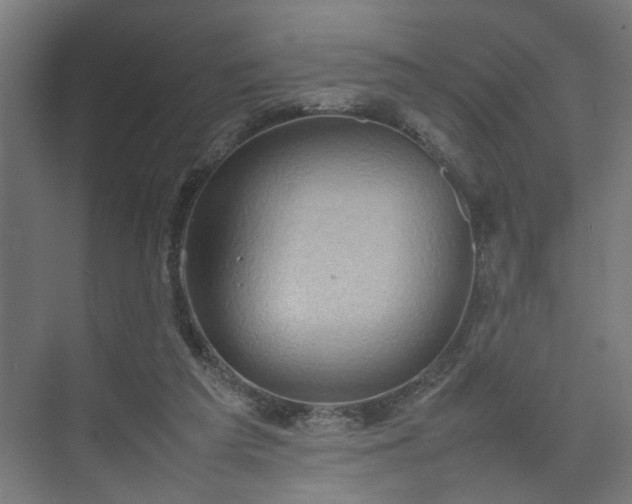 X0000074970209200609081420