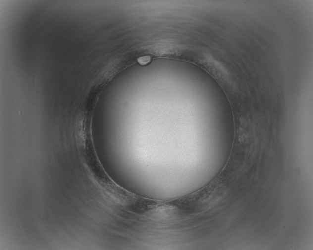 X0000074970210200609081420