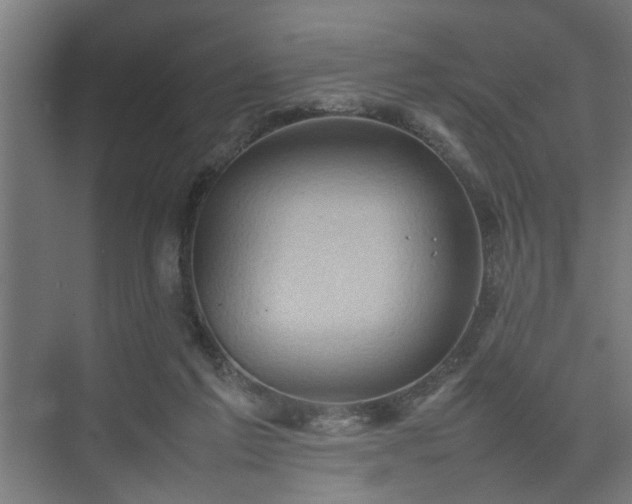 X0000074970213200609081420