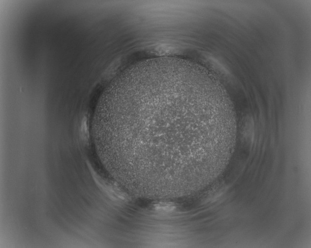 X0000074970214200609081420