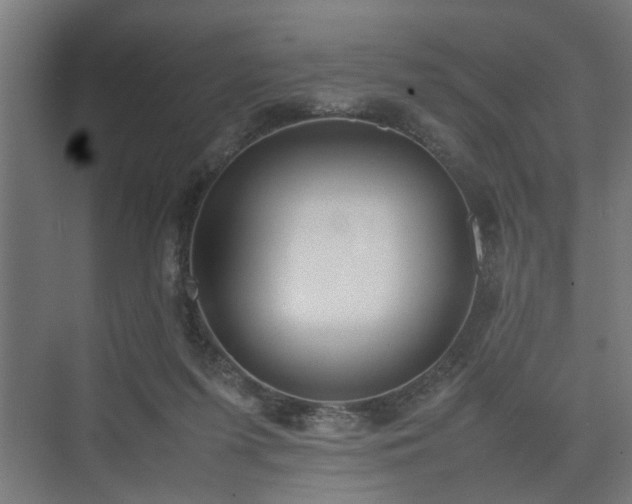 X0000074970215200609081420