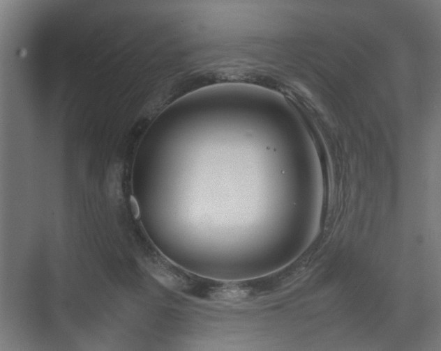 X0000074970217200609081420