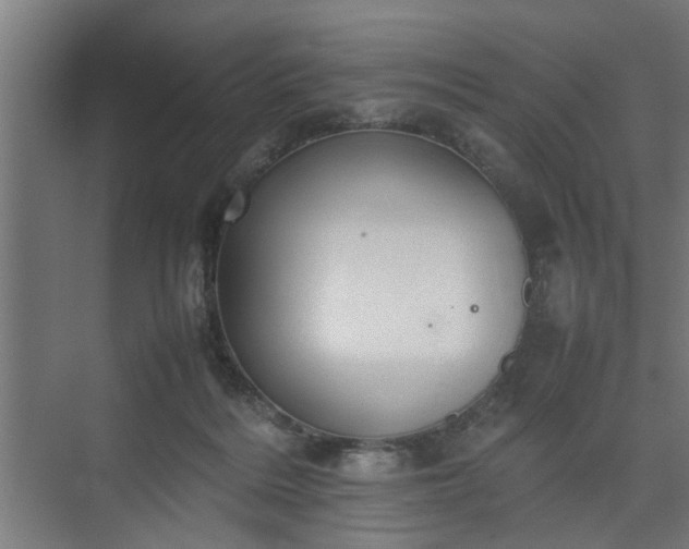 X0000074970220200609081420