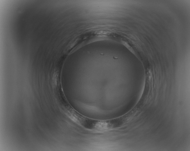 X0000074970227200609081420