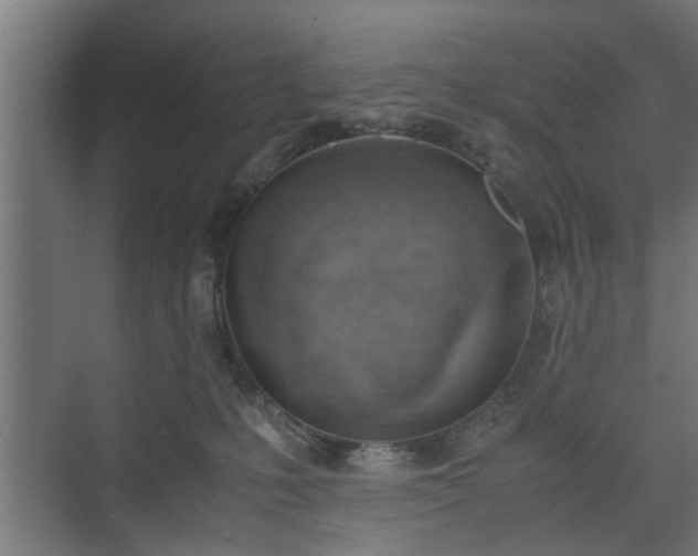 X0000074970231200609081419