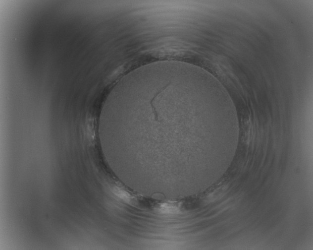 X0000074970232200609081419