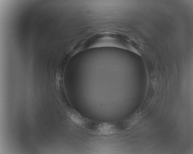 X0000074970235200609081419