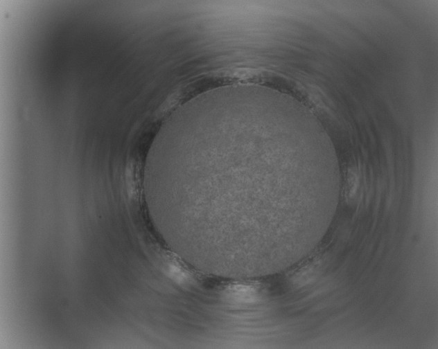 X0000074970236200609081419