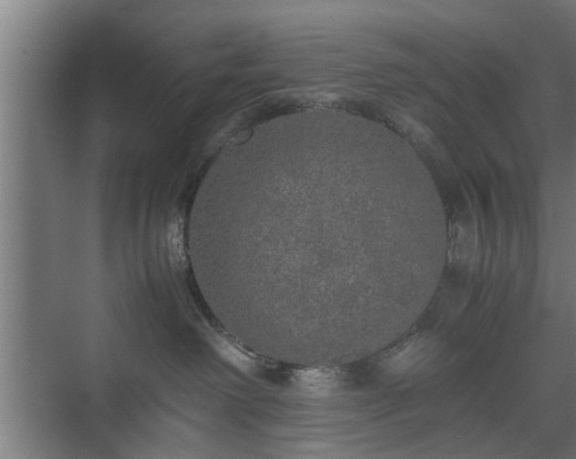 X0000074970238200609081419