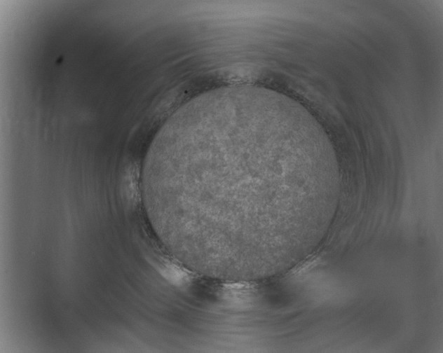 X0000074970240200609081419