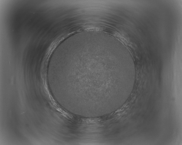 X0000074970241200609081418