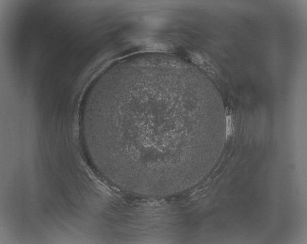 X0000074970243200609081419