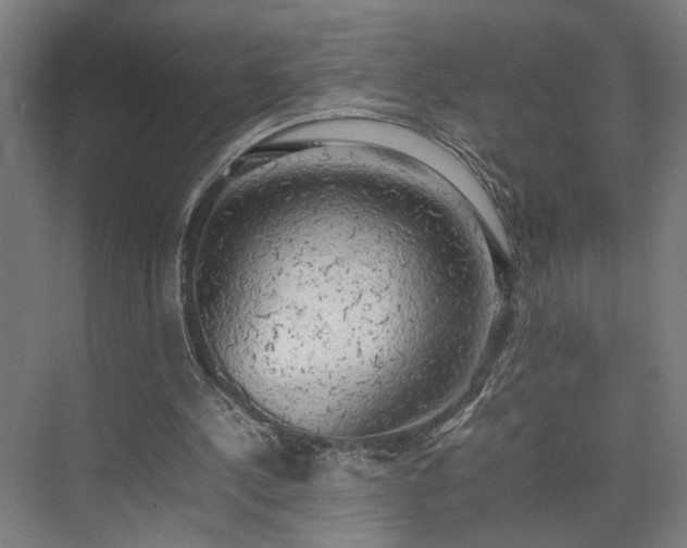 X0000074970244200609081419