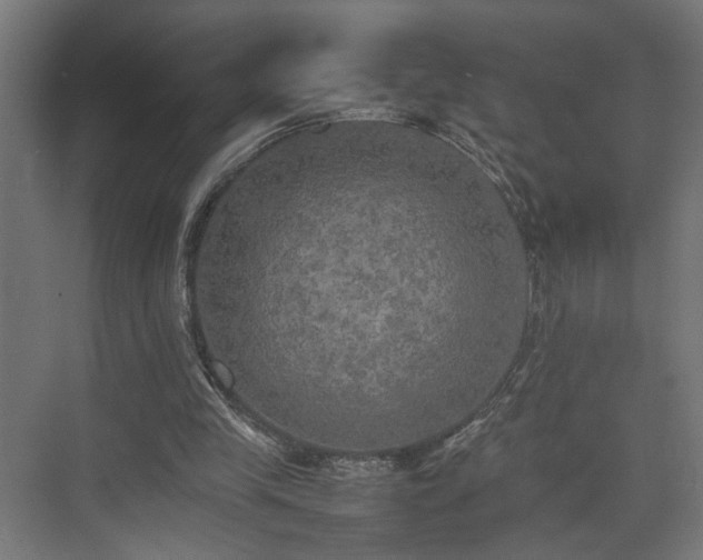 X0000074970245200609081419