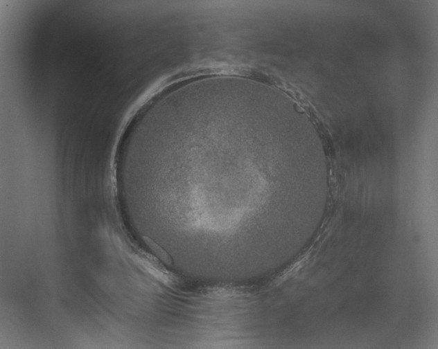 X0000074970246200609081419