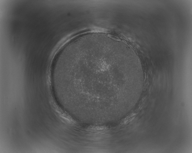 X0000074970247200609081419