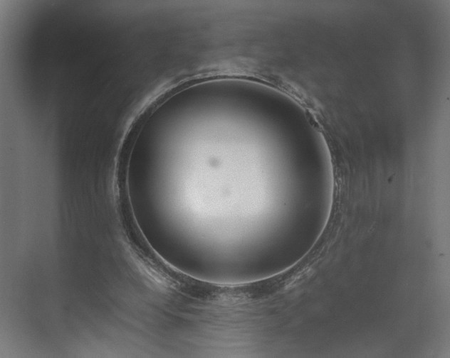 X0000074970248200609081419