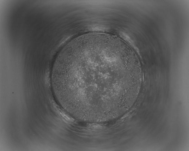 X0000074970249200609081419