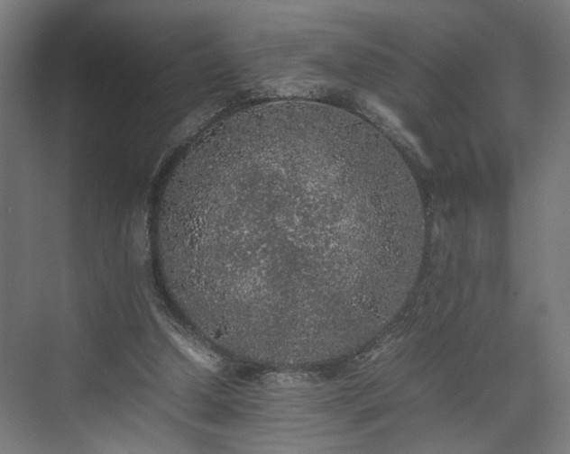 X0000074970250200609081419