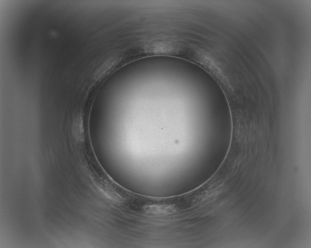 X0000074970251200609081419