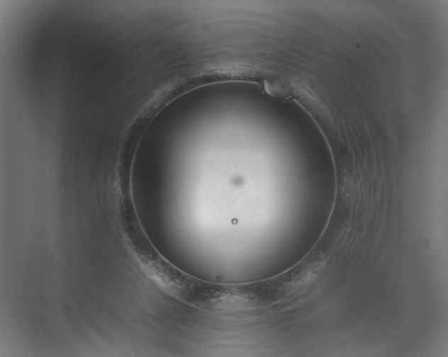 X0000074970256200609081419