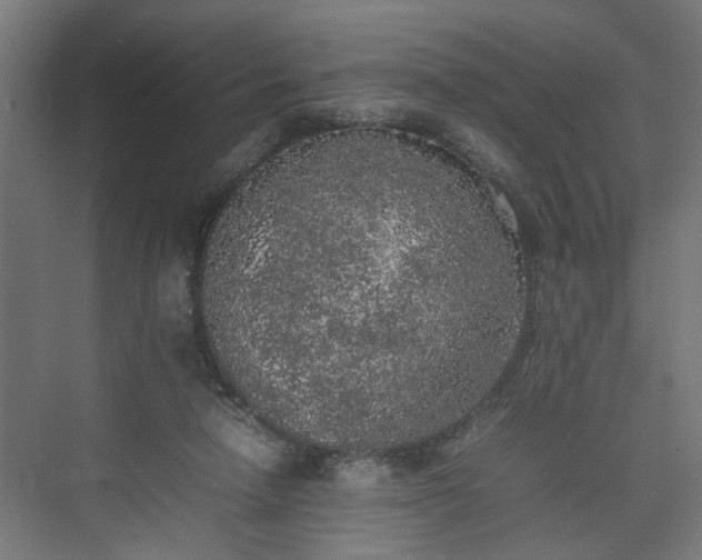 X0000074970258200609081419