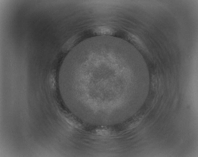 X0000074970259200609081419