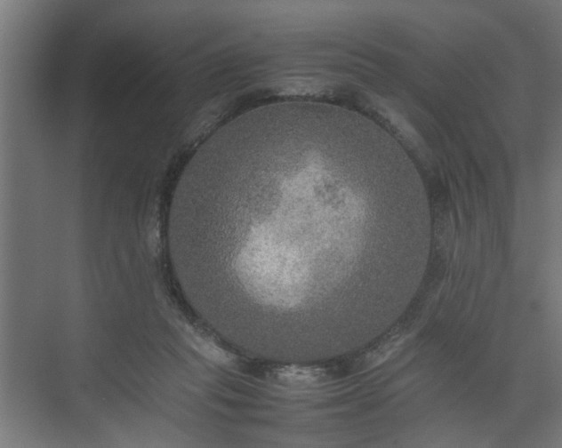 X0000074970261200609081419