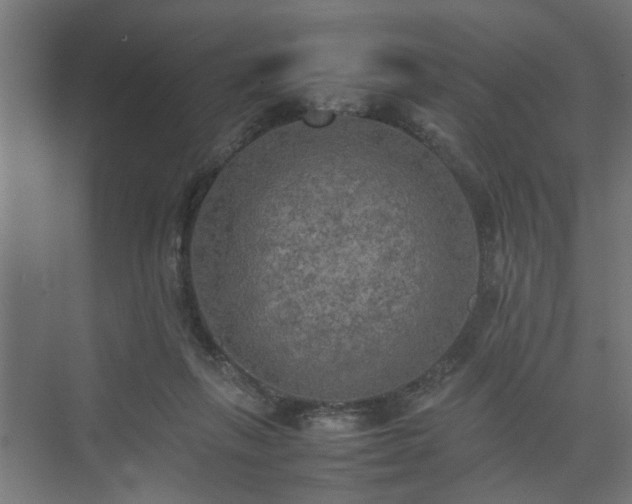 X0000074970263200609081419