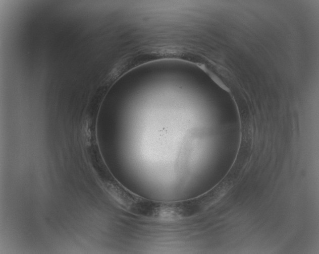 X0000074970264200609081419