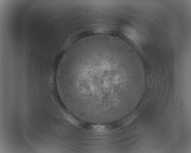 X0000074970265200609081419