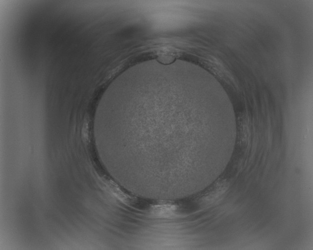 X0000074970266200609081419