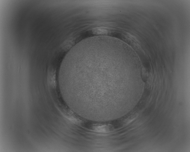 X0000074970267200609081419