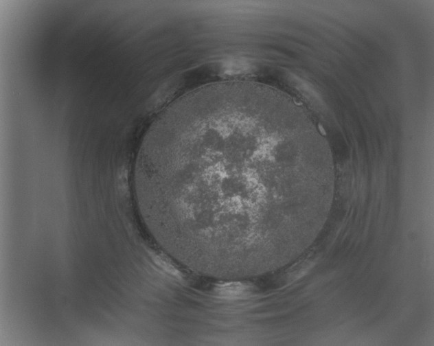 X0000074970269200609081419