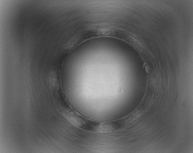 X0000074970270200609081419