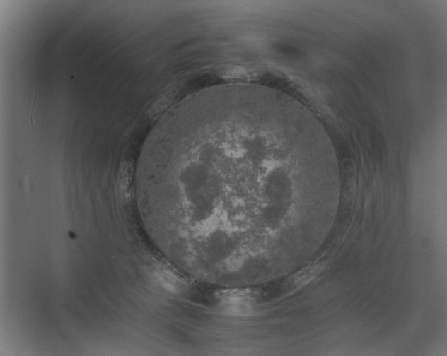 X0000074970273200609081419